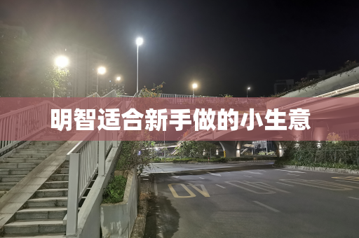 明智适合新手做的小生意