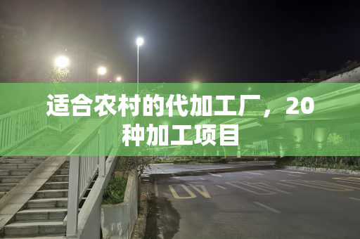 适合农村的代加工厂，20种加工项目
