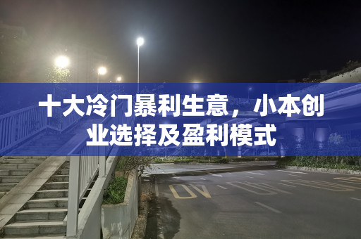 十大冷门暴利生意，小本创业选择及盈利模式