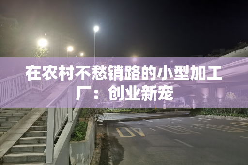 在农村不愁销路的小型加工厂：创业新宠