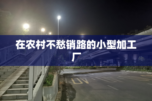 在农村不愁销路的小型加工厂