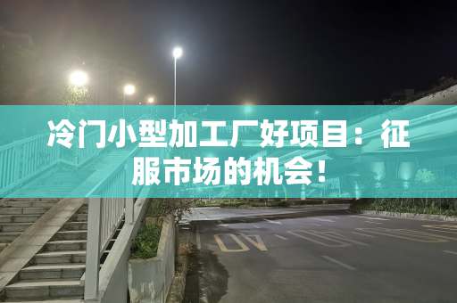 冷门小型加工厂好项目：征服市场的机会！