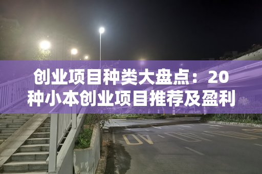 创业项目种类大盘点：20种小本创业项目推荐及盈利实况