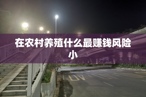 在农村养殖什么最赚钱风险小