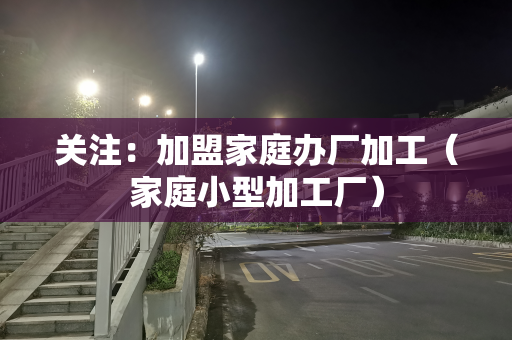 关注：加盟家庭办厂加工（家庭小型加工厂）