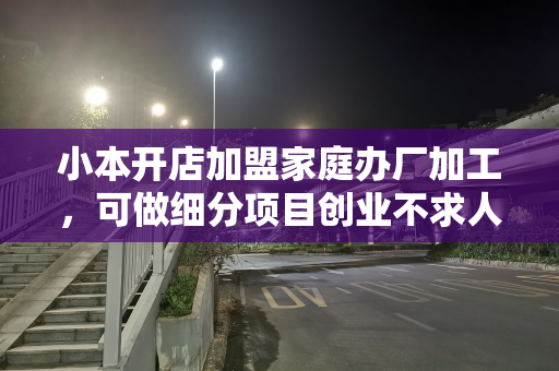 小本开店加盟家庭办厂加工，可做细分项目创业不求人！