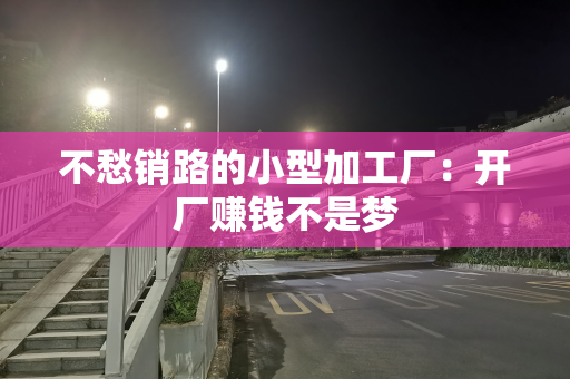 不愁销路的小型加工厂：开厂赚钱不是梦