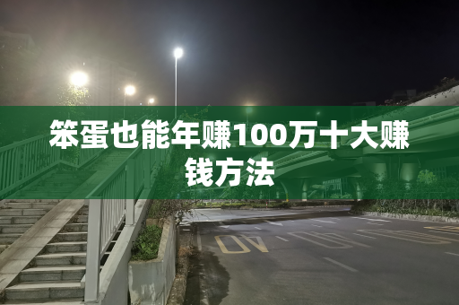 笨蛋也能年赚100万十大赚钱方法