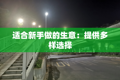 适合新手做的生意：提供多样选择