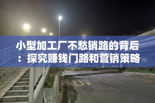 小型加工厂不愁销路的背后：探究赚钱门路和营销策略