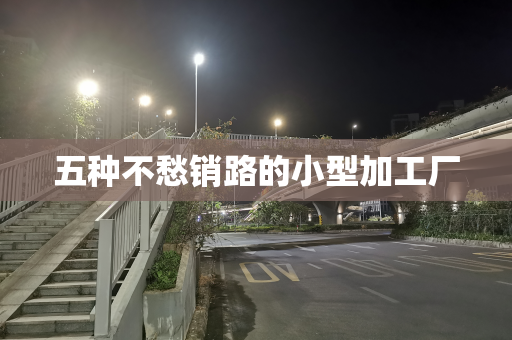 五种不愁销路的小型加工厂