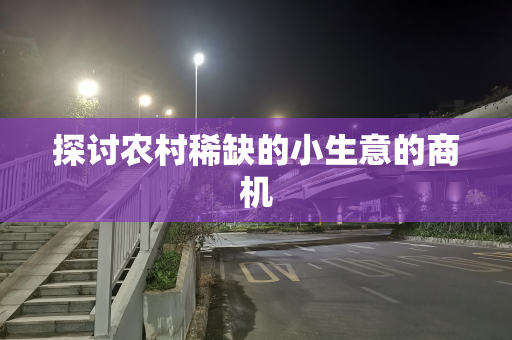 探讨农村稀缺的小生意的商机
