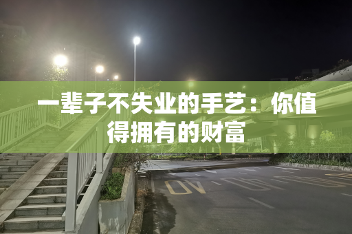 一辈子不失业的手艺：你值得拥有的财富