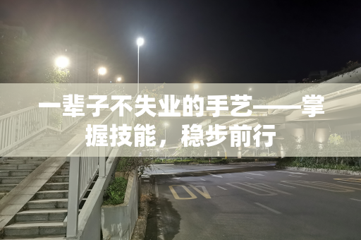 一辈子不失业的手艺——掌握技能，稳步前行