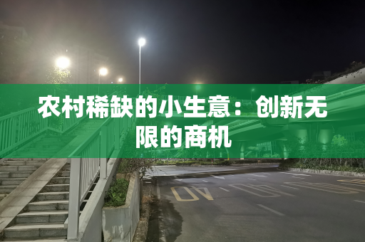 农村稀缺的小生意：创新无限的商机