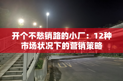 开个不愁销路的小厂：12种市场状况下的营销策略