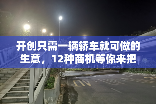 开创只需一辆轿车就可做的生意，12种商机等你来把握！