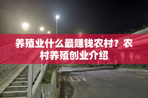 养殖业什么最赚钱农村？农村养殖创业介绍