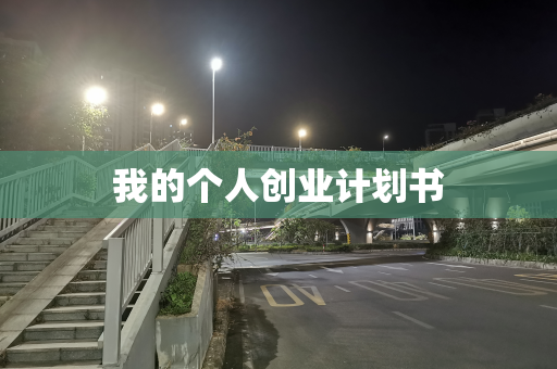 我的个人创业计划书