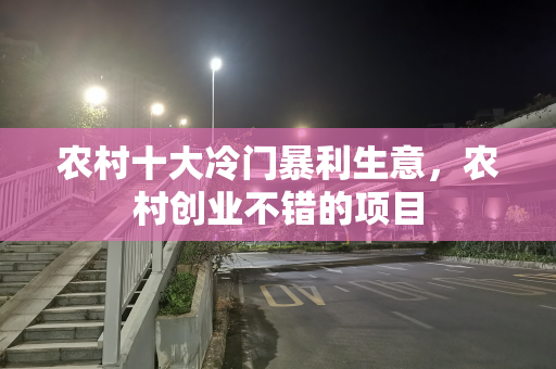 农村十大冷门暴利生意，农村创业不错的项目