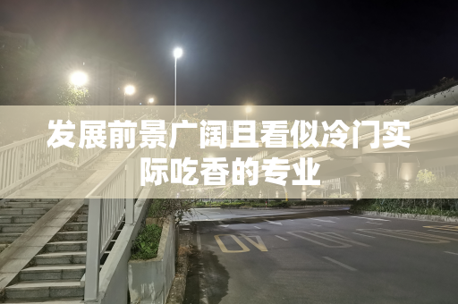 发展前景广阔且看似冷门实际吃香的专业