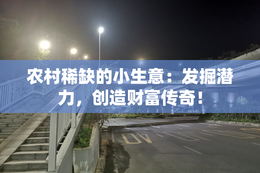 农村稀缺的小生意：发掘潜力，创造财富传奇！