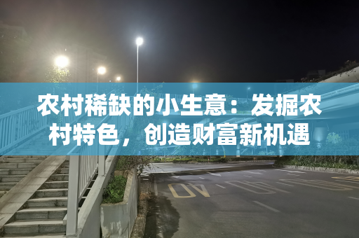 农村稀缺的小生意：发掘农村特色，创造财富新机遇