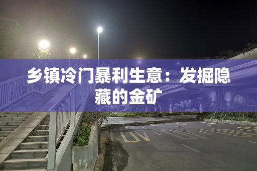 乡镇冷门暴利生意：发掘隐藏的金矿