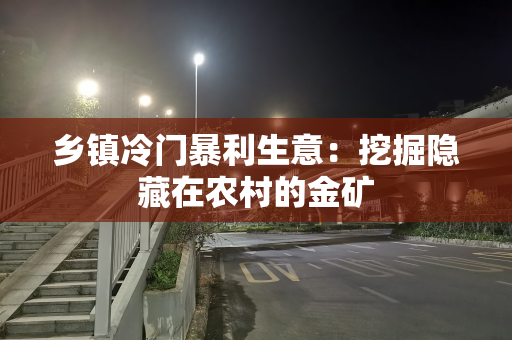 乡镇冷门暴利生意：挖掘隐藏在农村的金矿