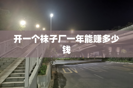 开一个袜子厂一年能赚多少钱