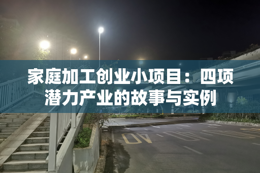 家庭加工创业小项目：四项潜力产业的故事与实例