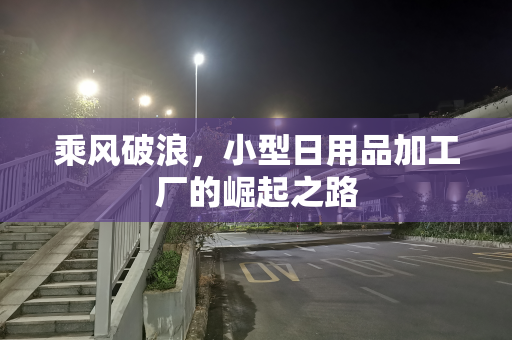 乘风破浪，小型日用品加工厂的崛起之路