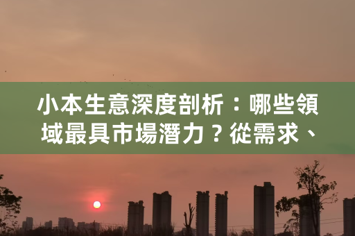 小本生意深度剖析：哪些領域最具市場潛力？從需求、資金、前景全面解構