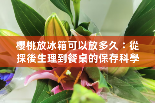 櫻桃放冰箱可以放多久：從採後生理到餐桌的保存科學