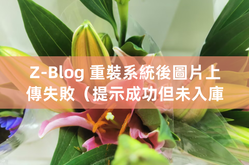 Z-Blog 重裝系統後圖片上傳失敗（提示成功但未入庫）的解決方案：目錄權限修復完整指南