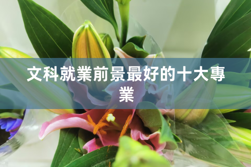 文科就业前景最好的十大专业