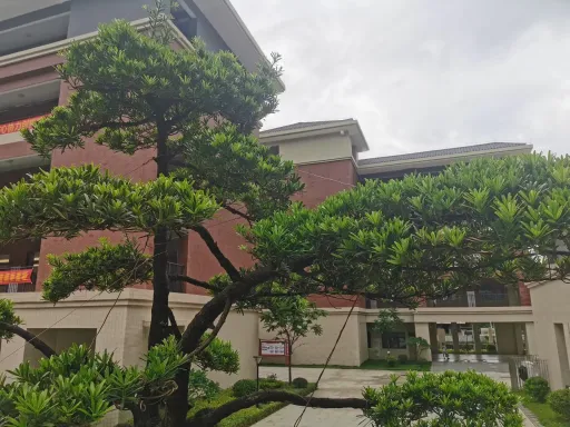 中小學作文：掌握寫作的技巧，寫出優秀的作文 第1张