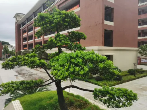 如何提高中學寫作能力 第1张