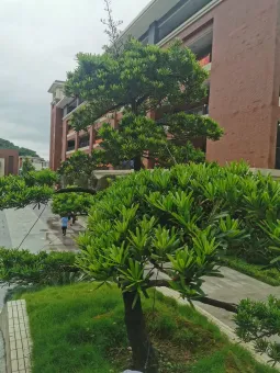 寫好中學作文的三大訣竅 第1张 寫好中學作文的三大訣竅 第1张