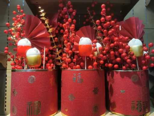 春日的櫻花 第1张 春日的櫻花 第1张