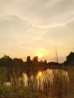 彩虹之約,自然綺夢 第1张 彩虹之約,自然綺夢 第1张