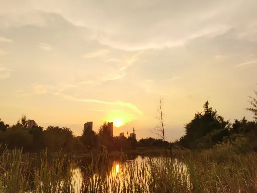 夕陽下的田野 第1张 夕陽下的田野 第1张