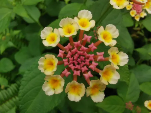 婆媳矛盾：最好的處理方法及技巧