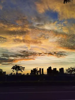 雨後新景，萬物歡歌 第1张