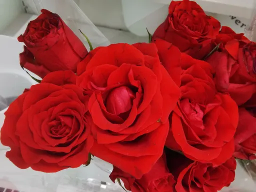 Guide you out of... 與 Extricate from...(婚姻的困境) 第1张 Guide you out of... 與 Extricate from...(婚姻的困境) 第1张